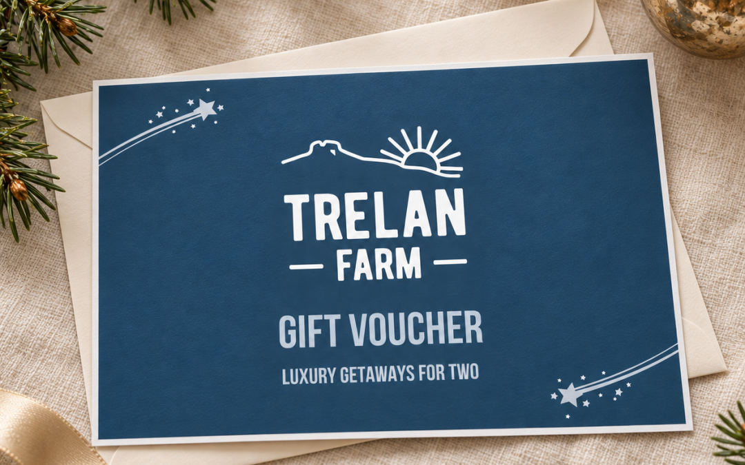 Give Memories, Not Things: A Romantic Christmas Gift They’ll Actually Love
