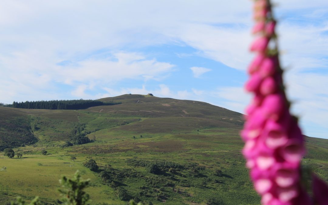 Walking Moel Famau: A Local Guide to North Wales’ Beautiful Clwydian Range